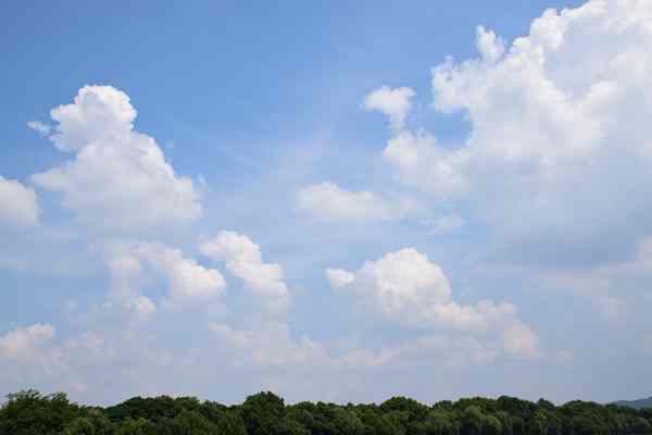 河西區生態環境局打響“臭氧阻擊戰” 