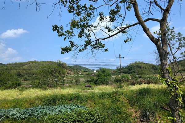 京津冀及周邊地區出現中至重度污染，多地啟動預警積極應對